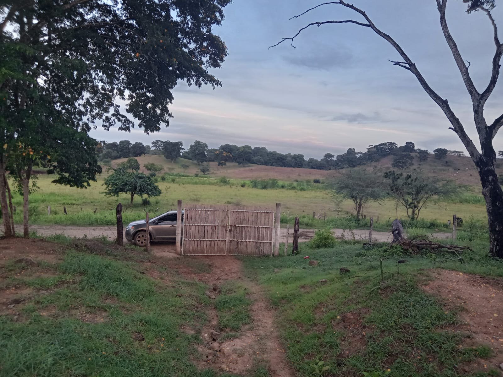 Zona 5 del terreno del proyecto agropecuario