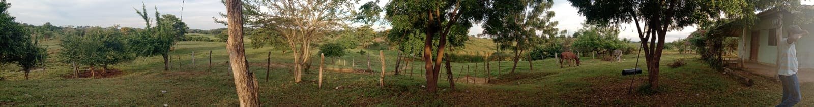 Zona 6 del terreno del proyecto agropecuario